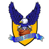 CSU SIBIU Team Logo